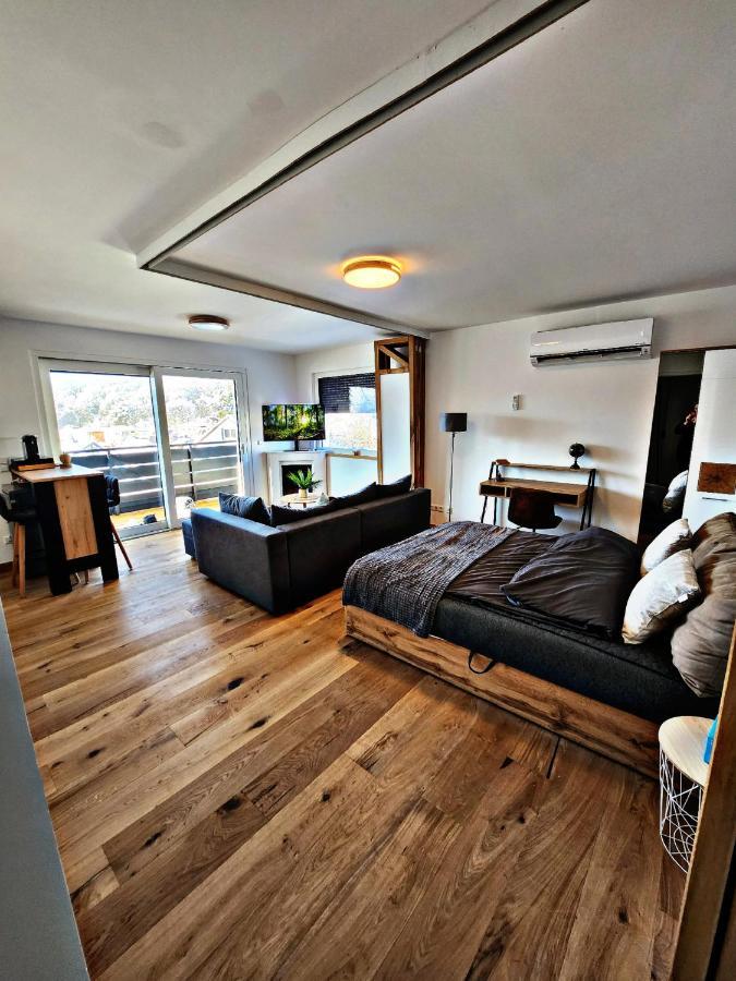 Lions Place Premium Apartments Executive Luxus Penthouse Inklusive Spa Heidenheim an der Brenz Kültér fotó