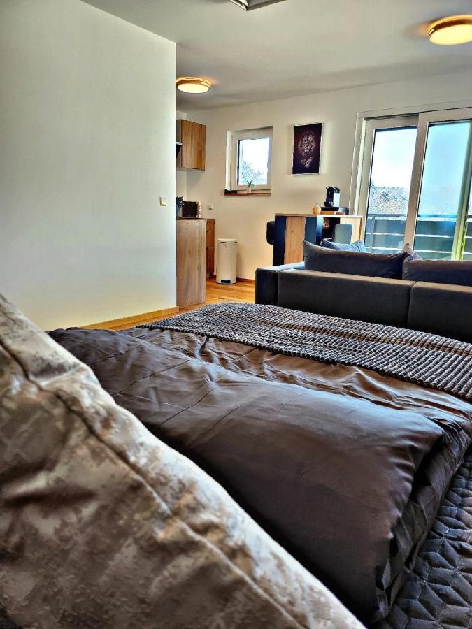 Lions Place Premium Apartments Executive Luxus Penthouse Inklusive Spa Heidenheim an der Brenz Kültér fotó