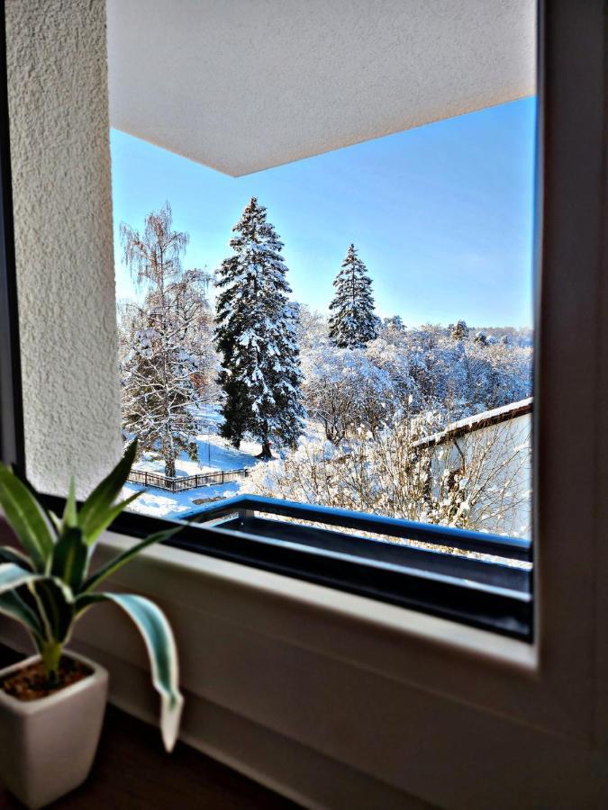 Lions Place Premium Apartments Executive Luxus Penthouse Inklusive Spa Heidenheim an der Brenz Kültér fotó