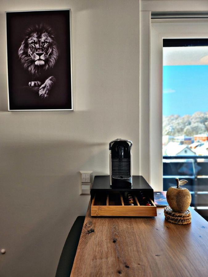 Lions Place Premium Apartments Executive Luxus Penthouse Inklusive Spa Heidenheim an der Brenz Kültér fotó