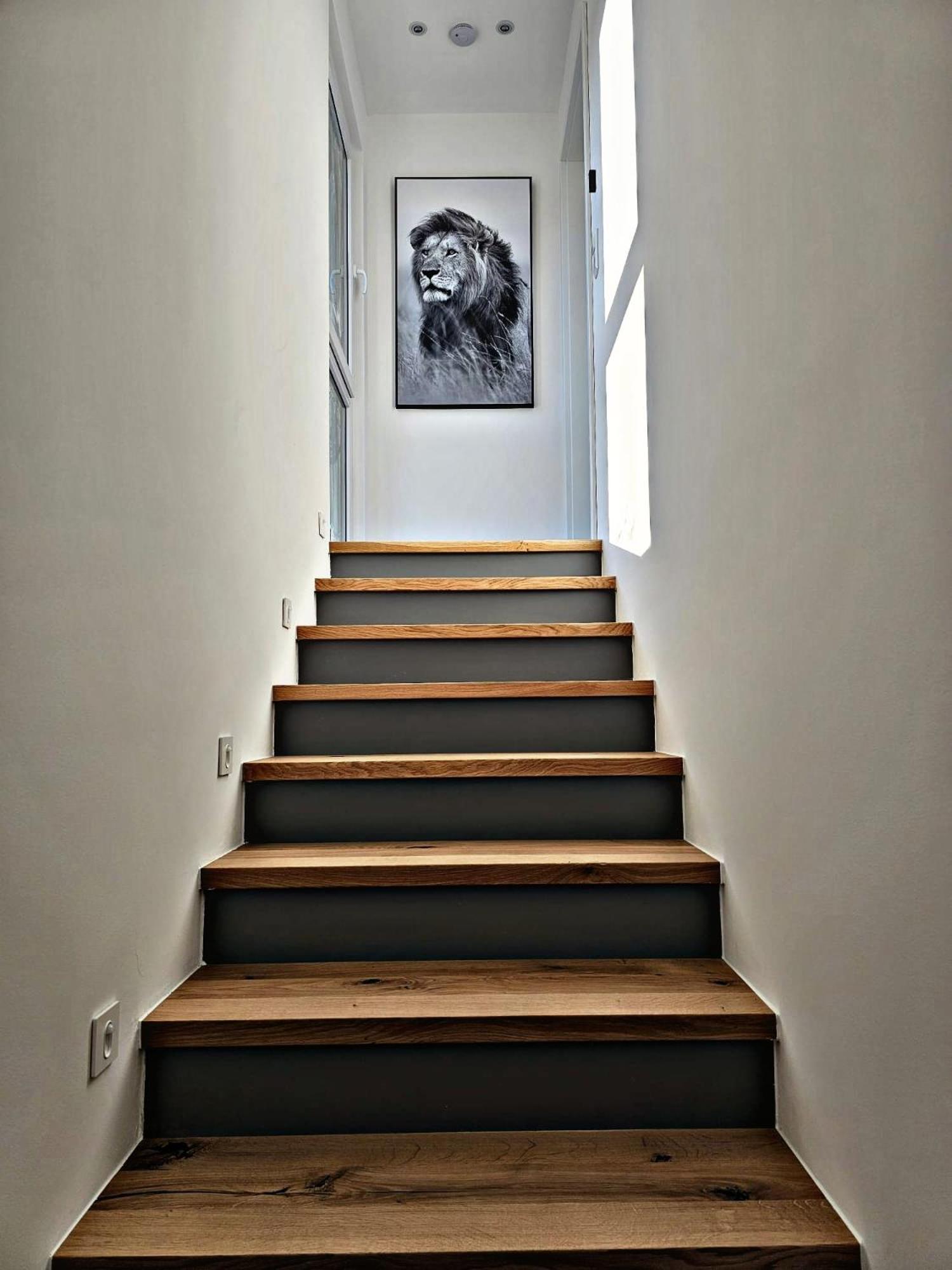 Lions Place Premium Apartments Executive Luxus Penthouse Inklusive Spa Heidenheim an der Brenz Kültér fotó