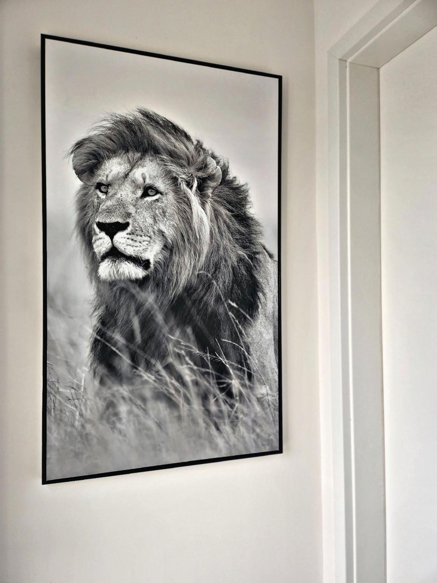 Lions Place Premium Apartments Executive Luxus Penthouse Inklusive Spa Heidenheim an der Brenz Kültér fotó
