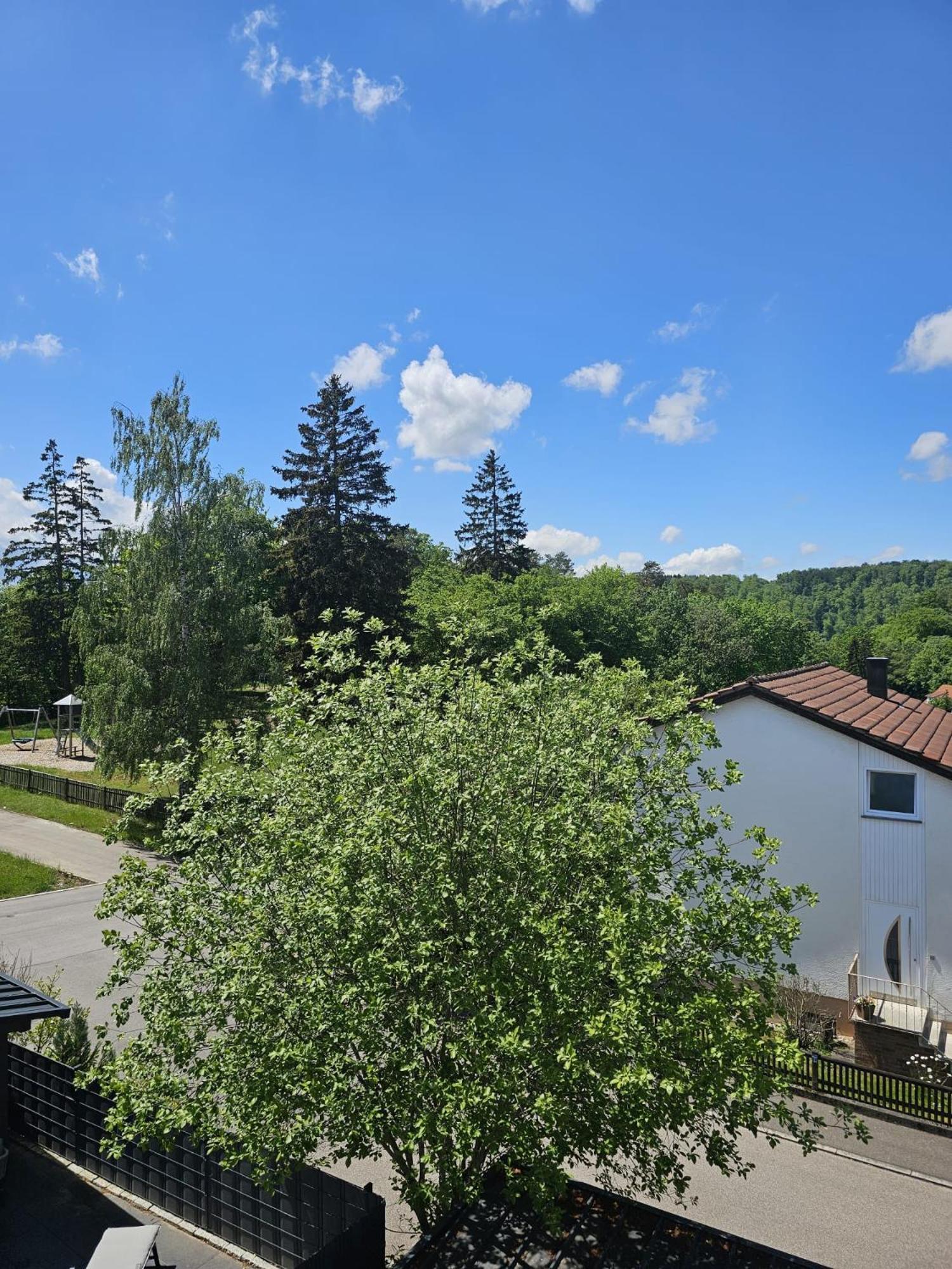 Lions Place Premium Apartments Executive Luxus Penthouse Inklusive Spa Heidenheim an der Brenz Kültér fotó